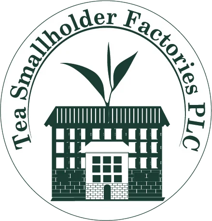 Tea smallholders factories